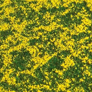 180463 Faller PREMIUM Landschafts-Segment,