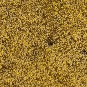 180466 Faller PREMIUM Landschafts-Segment,