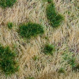 180474 Faller PREMIUM Landschafts-Segment,