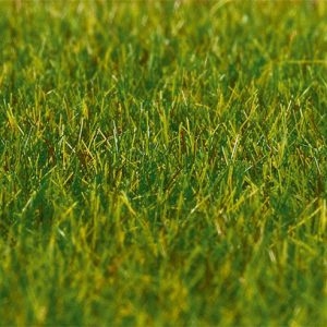 180485 Faller PREMIUM Streufasern, Gras, du
