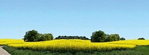 180504 Faller Modellhintergrund Ostholstein