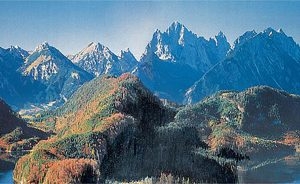 180512 Faller Modellhintergrund Neuschwanst