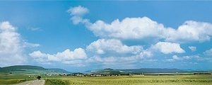 180514 Faller Modellhintergrund Schwarzwald