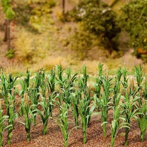 181250 Faller 36 Maispflanzen