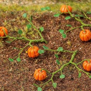 181258 Faller 6 Kürbispflanzen