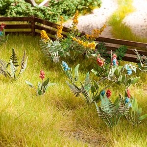 14056 Noch Feld- und Wiesenpflanzen 17 Pflanzen