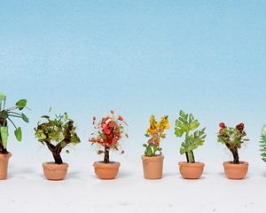 14082 Noch Zierpflanzen in Blumenkübeln 9 Blumenkübel