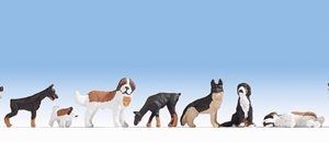 15717 Noch Hunde