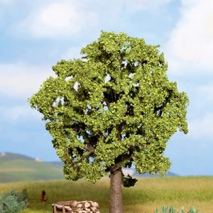 21690 Noch Hainbuche 13 cm hoch