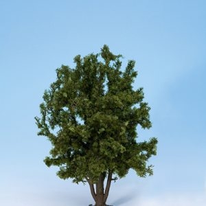 68015 Noch Laubbaumca. 24 cm hoch