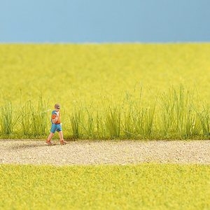 7060 Noch Schilfgras-Sortiment