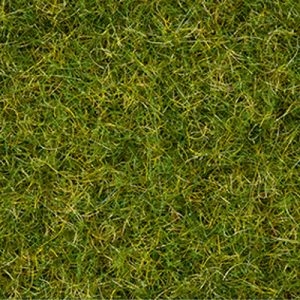 7072 Noch Master-Grasmischung Sommerwiese 2,5 bis 6 mm, 50 g