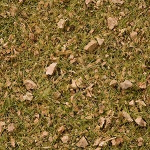 7075 Noch Master-Grasmischung Almwiese 2,5 bis 6 mm, 50 g