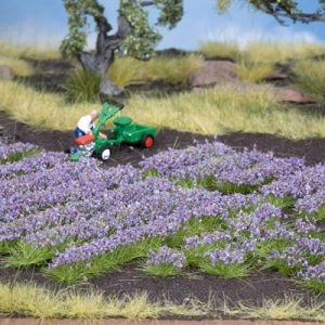 7136 Noch Lavendel
