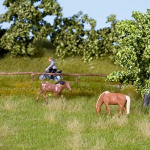 7403 Noch Natur+ Wiese Sommer