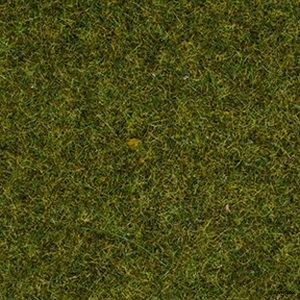 8312 Noch Streugras Wiese 2,5 mm, 20 g