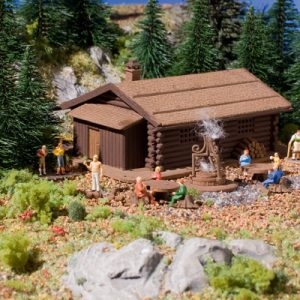 47727 Vollmer N Grillplatz mit Hütte