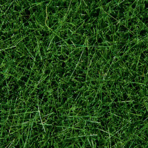 7094 Noch Wildgrasdunkelgrün, 6 mm, 100 g