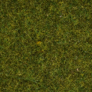 8152 Noch Streugras Wiese 2,5 mm, 120 g