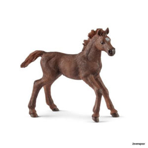 13857 Schleich ENGELSE VOLBLOED VEULEN