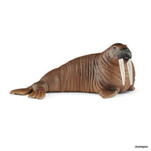 14803 Schleich WALRUS