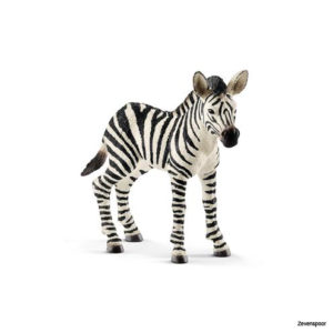14811 Schleich Zebra Fohlen