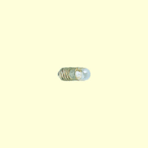 3339 Brawa Glühlampe M60.019 18V/120mA k