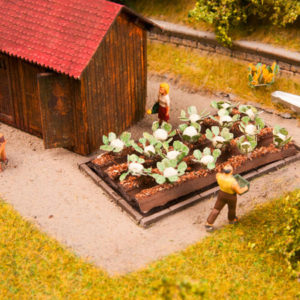 13216 Noch Blumenkohl