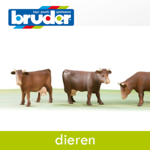 Bruder Dieren