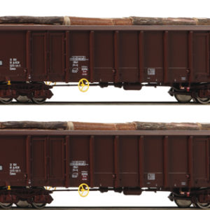 76075 Roco 2er Set Eanos ÖBB