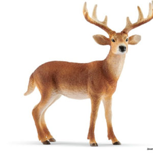 14818 Schleich Weißwedelhirsch