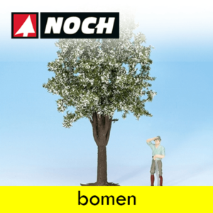 Noch Bomen