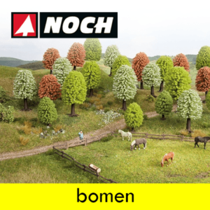 Noch Bomen