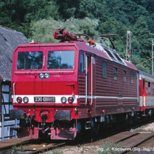 71219 Roco E-Lok BR 230 DR