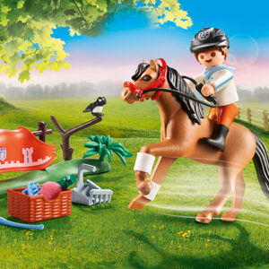 70516 Playmobil® Collectible Connemara Pony