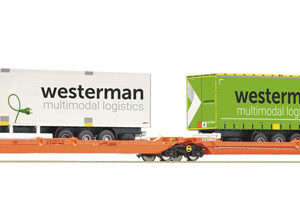 77399 Roco Doppeltwg.T3000e+Westerman