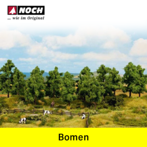 Noch Bomen