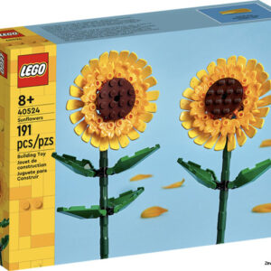 40524 Zonnebloemen