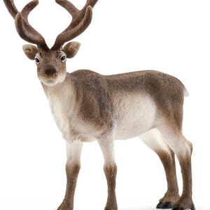 14837 Schleich WILD LIFE - Rendier