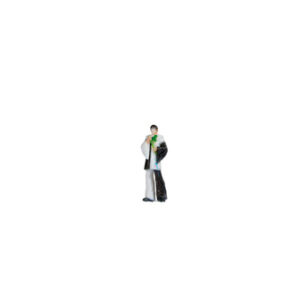 10414 Noch Harlekin 3D-Master