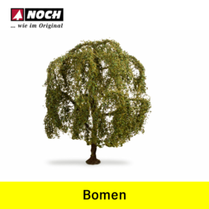 Noch Bomen