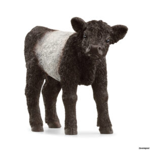 13969 Schleich