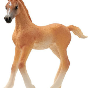 13984 Schleich  Arabisch veulen