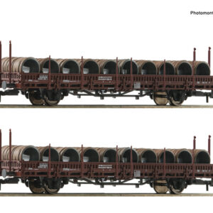 6600120 Roco 2er Set Rungenwag. Ks OEBB