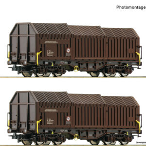 6600132 Roco 2er Set Teleskophaubenwag. OEBB