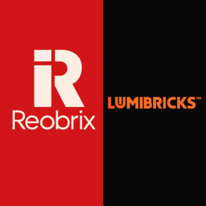 Lumibricks/Reobricks