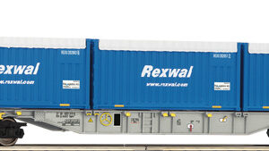 6600234 Roco Containertragwagen Sgns + Container Rexwal
