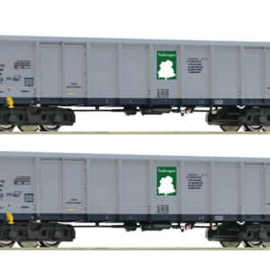 6600295 Roco 2er Set Eanos Tankwagon