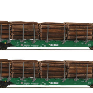 6600319 Roco 2er Set Rungenwagen Rnoos OnRail grün
