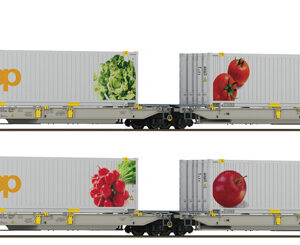 6600322 Roco 2er Set Doppeltaschenwagen T2000 + Coop #1